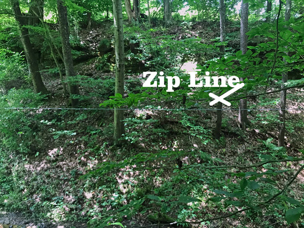 Zip Line in the woods